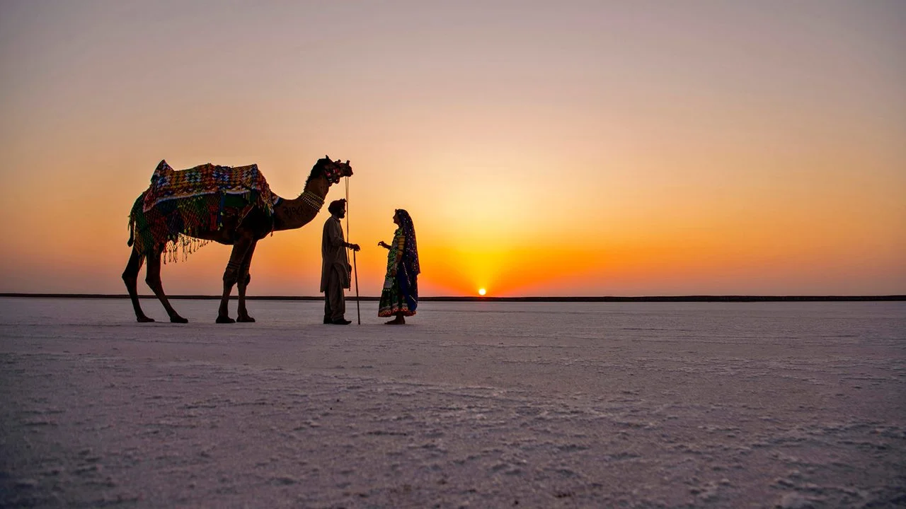 White Rann & Dholavira