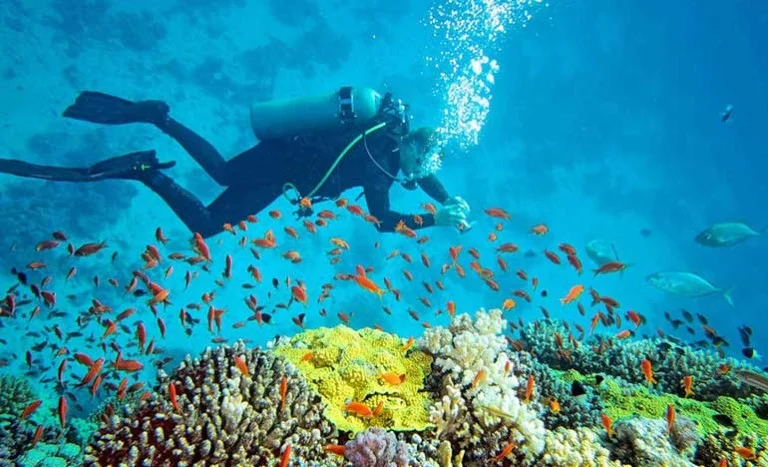 Andaman Islands — Outstation Tour Package