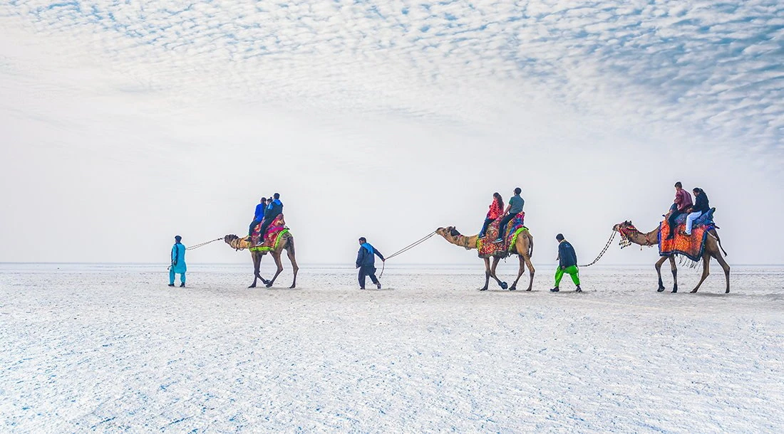 White Rann of Kutch — The magical white salt desert - camels, culture and endless horizons